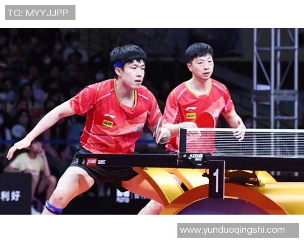 乒乓球技术排名揭晓北京乒乓球队荣获第五名的背后故事