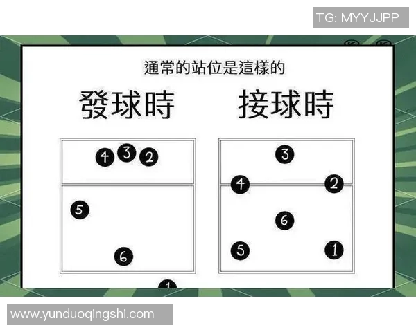 排球盛宴：深入解析西安排球队的默契配合与战术运用