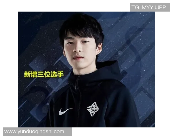 深入探讨RNG战队选手个人能力表现的数据分析与趋势解读