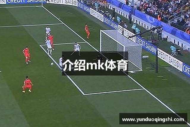 介绍mk体育
